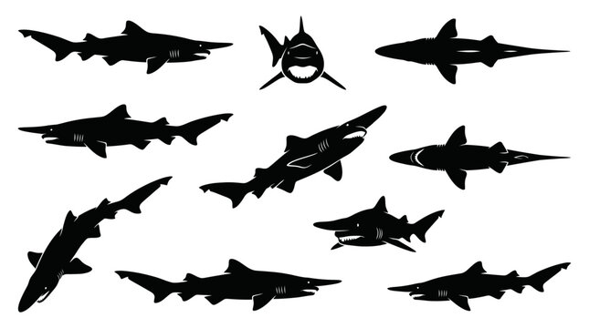 Black shark silhouettes set showing ocean predators from various