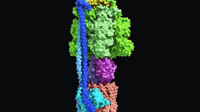 Colorful molecular protein complex structure rotating against a black background