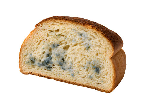 Moldy slice of bread isolated on transparent or white background, png