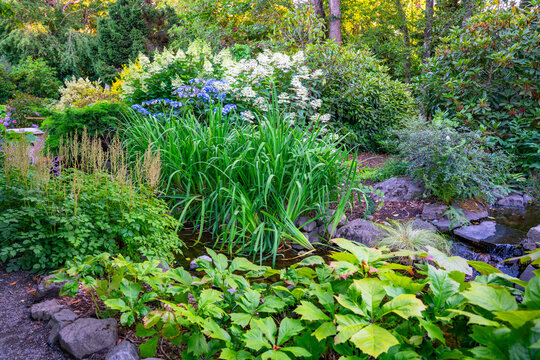 Seatac Summer Flowers 5