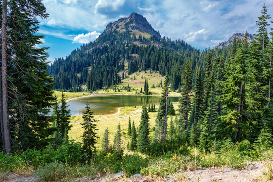 Tipsoo Mountain Lake 4