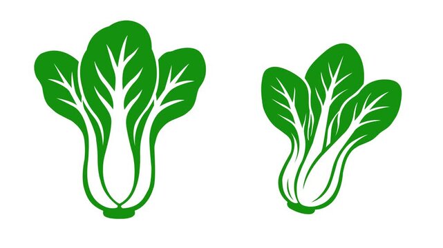 Bok choy vegetables depicted in simple green line art style for culinary digital motion animation clips