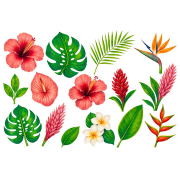 Tropical flowers and exotic palm monstera leaves collection set isolated on black background