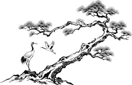 Traditional Asian ink painting style vector with elegant cranes and twisted old pine tree on mountain rock