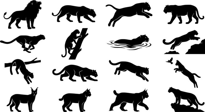 Big Cat Predator Hunt Black Silhouette Set Lion Lioness Tiger White Tiger Cheetah Leopard Jaguar Snow Leopard Puma Ocelot Serval Caracal Vector