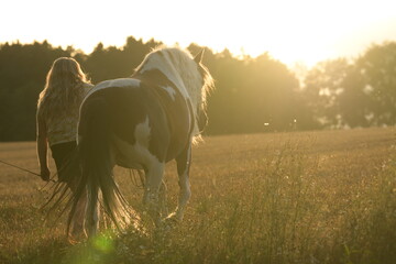 Rückenansicht einer langhaarigen Frau die mit einem gescheckten Pferd bei Sonnenuntergang über ein Feld spazieren geht © Grubärin