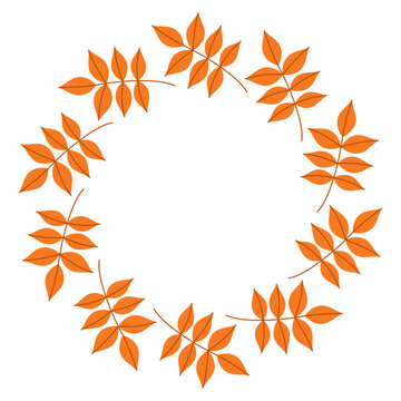 Autumn rowan leaves round frame vector icon with orange fall foliage wreath isolated on white background. Botanical seasonal frame for fall, harvest, nature, Thanksgiving, crafts, decorative design.