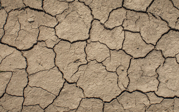 Dry cracked earth forming an intricate natural pattern across a parched surface. Arid landscape texture representing drought, dryness, climate and environmental change.