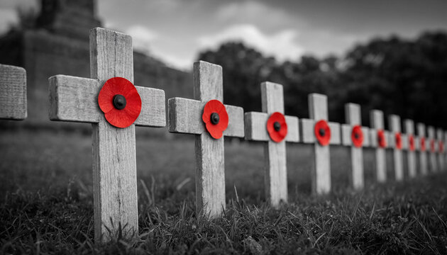 A solemn tribute to fallen heroes remembering sacrifices made in service and honoring their enduring legacy of courage and peace