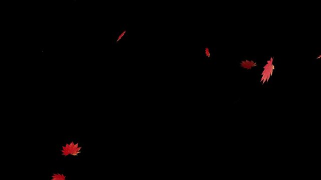 Animation of falling autumn leaves. perfect for fall season and nature scene abstract background. Autumn season and nature concept. Animation material with a transparent background.