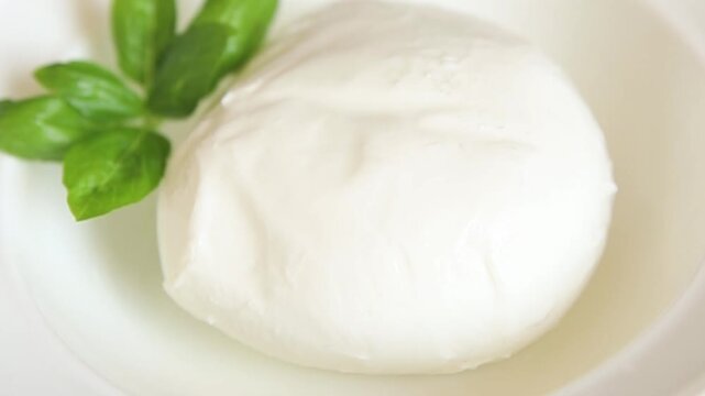 Mozzarella curd cheese mozzarella di bufala appetizer food preparation dish tasty snack fresh and delicious gourmet rustic food background on the table&nbsp; rustic food top view copy space
