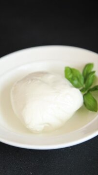 Mozzarella curd cheese mozzarella di bufala appetizer food preparation dish tasty snack fresh and delicious gourmet rustic food background on the table&nbsp; rustic food top view copy space