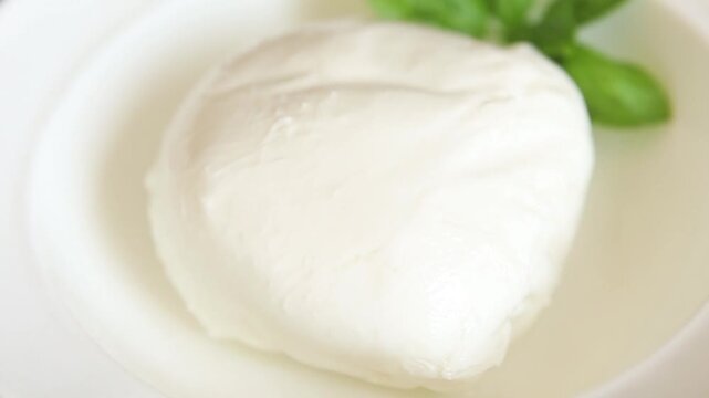Mozzarella curd cheese mozzarella di bufala appetizer food preparation dish tasty snack fresh and delicious gourmet rustic food background on the table&nbsp; rustic food top view copy space