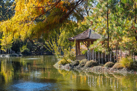 Autumn pond with pavilion reflecting colorful foliage at Fort Worth botanical gardens.