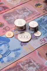 Brunei paper money, dollar banknotes and sen coins as currency for exchange or travel. Brunei money © chernikovatv
