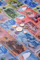 Brunei paper money, dollar banknotes and sen coins as currency for exchange or travel. Brunei money © chernikovatv