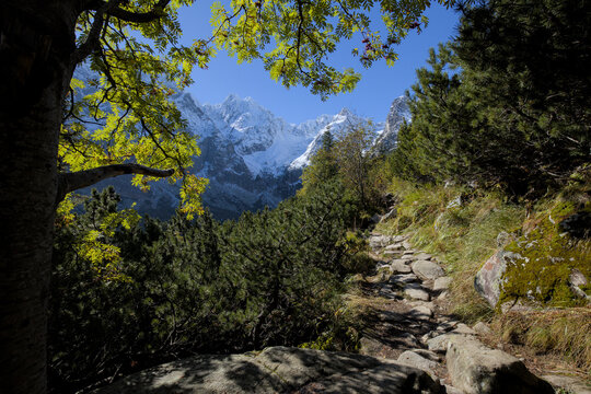 Autumn in the Tatra Mountains, the Valley of the Green Lake, Slovakia