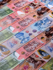 Brunei paper money, dollar banknotes and sen coins as currency for exchange or travel. Brunei money © chernikovatv