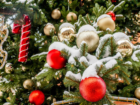 Snow Covered Christmas Tree With Red And Gold Ornaments Decorating A Festive Winter Display