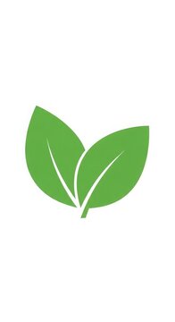 Minimalist green leaf vector icon isolated on white background with eco friendly, environment