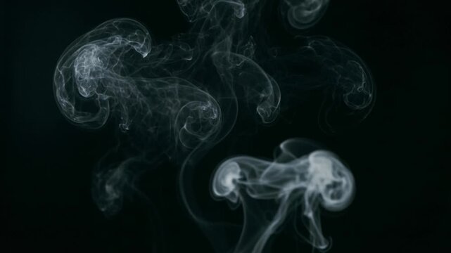 White smoke rings and fluid vortexes swirling on black background. Ghostly ethereal shapes creating a dark moody atmosphere. Halloween 2026 and spooky paranormal phenomenon concept.
