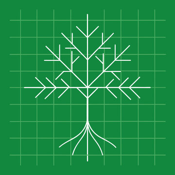 Linear tree structure with symmetric branching patterns plotted on green technical grid background for organic growth visualization.
