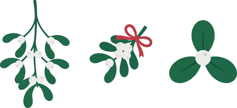A set of three stylized mistletoe illustrations featuring hanging branches, a sprig tied with a festive red ribbon, and a simple three leaf floral design.