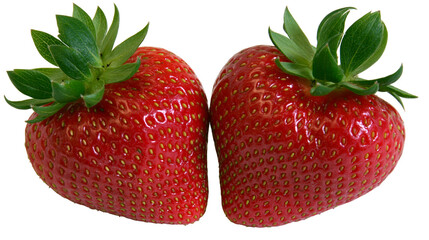 Isolated two luscious red strawberries with vibrant green leaves, fresh and ripe organic healthy fruit. © David