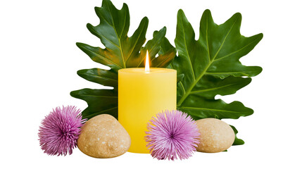 Isolated serene spa arrangement with burning candle, lush tropical leaves, smooth stones, and purple flowers. © David