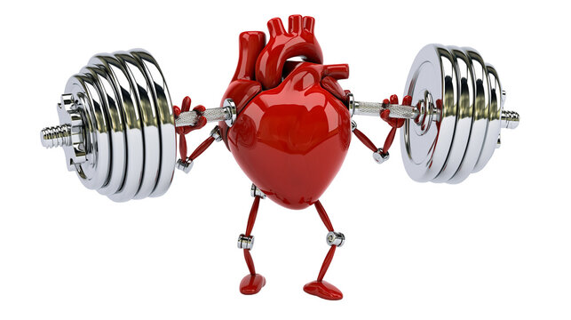 Isolated strong human heart character lifting heavy barbell a symbol of health fitness