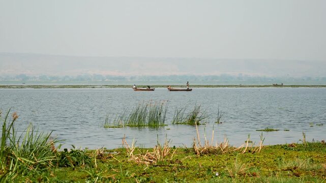 Traditional wooden canoes with fishermen sailing across a vast, tranquil lake in africa, with lush green vegetation in the foreground and distant hazy mountains on the horizon