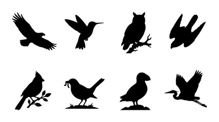 Fototapeta premium Silhouette Bird Collection Vector Icons: Wildlife, Nature, Ornithology, Avian Species Graphics