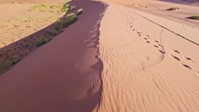 Golden sunset light glows across the panoramic view from atop a Coral Pink Sand Dunes State Park dune in Utah