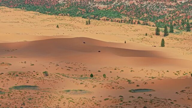 Aerial view of Coral Pink Sand Dunes at sunset