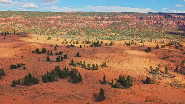 Aerial view of Coral Pink Sand Dunes at sunset