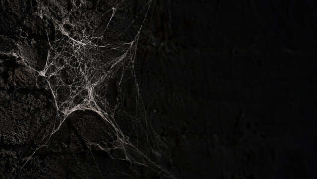 Spider web on dark stone wall. Scary cobweb texture on black background. Horror, mystery and fear concept for Halloween party invitation design and spooky poster