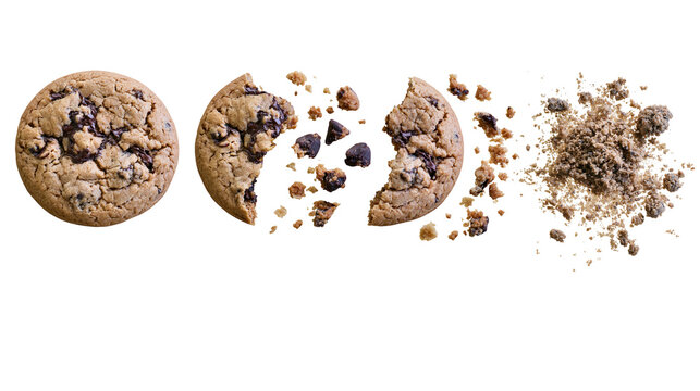Isolated chocolate chip cookie in various stages from whole to broken pieces and scattered crumbs