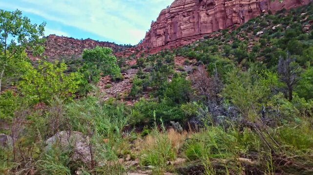 Left Fork North Creek winds through the trail leading toward the iconic Subway landmark in Zion National Park
