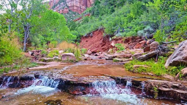 Left Fork North Creek winds through the trail leading toward the iconic Subway landmark in Zion National Park