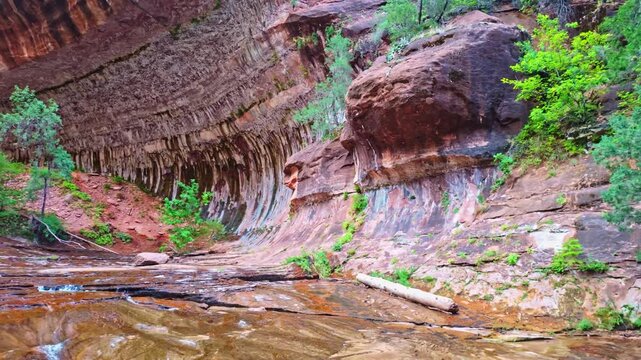 Scenic view captures the iconic tunnel entrance of the Subway formation in Zion National Park