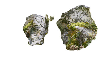 Isolated two rocks covered with green moss and small plants, natural elements © Ioana