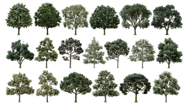 Isolated collection of diverse green trees for architectural models and landscape design