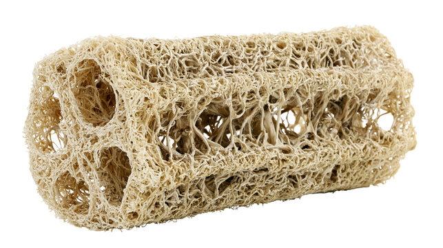 Isolated natural organic loofah bath and shower sponge for healthy skin exfoliation