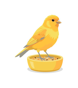 Bright yellow canary bird perched on a feeding bowl filled with seeds