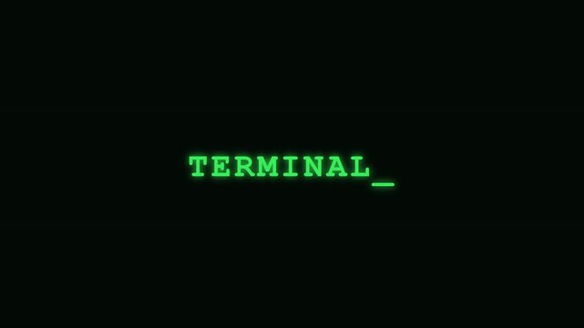 Retro computer terminal text interface with blinking cursor green code screen animation 4k