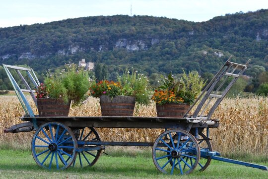 Charrette en bois d'&eacute;poque d&eacute;cor&eacute;e de pots de fleurs dans un champ &agrave; la campagne.