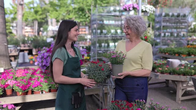 Florist employee helping senior woman choosing flowers at garden center