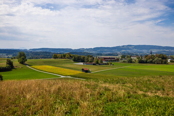 Obraz premium Golden fields and distant Swiss Alps in Zuercher Oberland