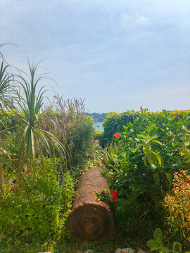 Old Canon and Coastal Garden Overlooking the Mediterranean at citadelle saint elme in villefranche sur mer France 