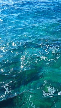 Underwater coral reef with tropical fish swimming in crystal clear water.